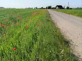 Wola Niedźwiedzia