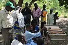 Formation à l'apiculture.