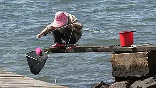 Pêcheuse de crabes (des crabes verts) dans le Brofjorden. Juin 2017.