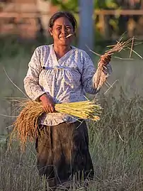 Portrait d'une femme coupant le riz et serrant une cigarette roulée entre ses dents, au coucher du soleil dans la campagne de Don Det. La couleur rouge de ses dents est due à la mastication régulière de paan. Septembre 2017.