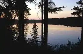 Lac Pine