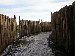 Les palissades interne et médiane reconstituées