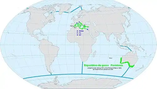 Répartition du genre Posidonia