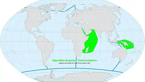 Répartition du genre Thalassodendron