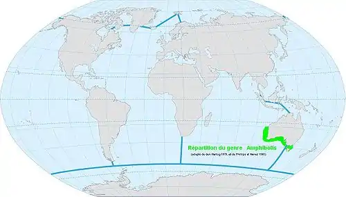 Répartition du genre Amphibolis