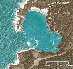 Whale Cove.