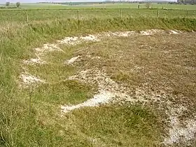 L'enceinte à fossés interrompus de Wyke Down, Dorset, en Angleterre.