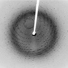 Cliché de diffraction de la protéase virale 3CLpro cristallisée