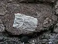 Xénolithe de gabbro dans un granite.