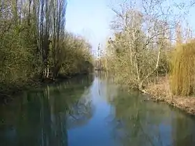 Cours d'eau de l'Yèvre, affluent du Cher.