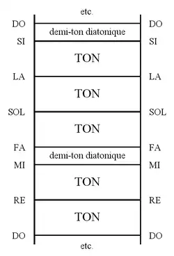 Représentation verticale de l'échelle diatonique