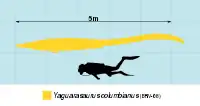 Comparaison en taille de Yaguarasaurus (en jaune) avec un humain (en noir).