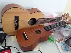 Ukulélé (la guitalélé, derrière, donne l'échelle. Une guitare serait encore la taille au-dessus).