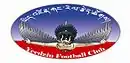 Logo du Yeedzin FC