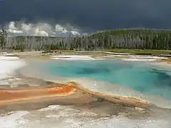 Bassin thermal près du Grand Prismatic Spring.