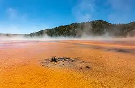 Le Grand Prismatic Spring.