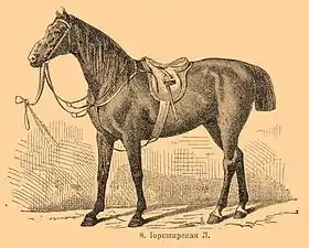 Carrossier du Yorkshire dans le Brockhaus and Efron Encyclopedic Dictionary (1890—1907)