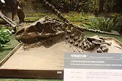 Youngosuchus décrit par Yang Zhongjian
