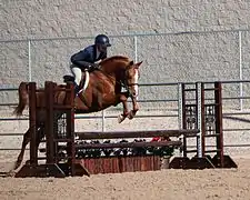 Démonstration de saut d'obstacles.