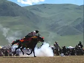 Cavalier et cheval au festival du cheval de Yushu, en juillet 2008