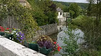 Bords de la rivière Yvette.