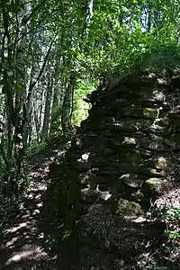 Vestiges du château de Košťálov.