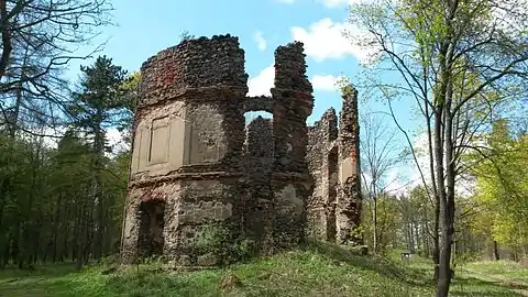 Ruines du château de Mořičov.