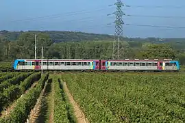 La Z 9609 en livrée Pays de la Loire vue dans les vignes de Chacé, sur un TER Thouars - Saumur.