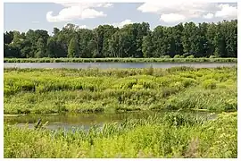 Le caractère visible ou caché de l'horizon fait parler de paysage « ouvert » ou « fermé ».