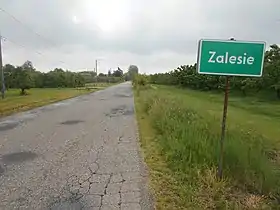 Zalesie (Błędów)