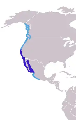 Aire de répartition de l'Otarie de Californie