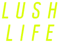 Description de l'image Zara Larsson - Lush Life (single) logotipo.png.
