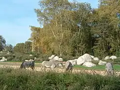 Zèbres dans la Plaine Africaine.