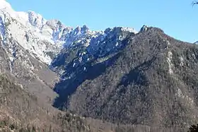Vue du versant nord-ouest des Zeleniške špice depuis Čmaževski turn.