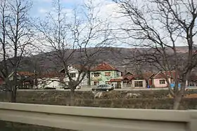 Željuša (Dimitrovgrad)