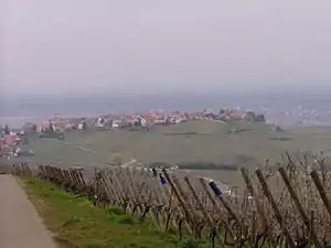 Zellenberg, Haut-Rhin, France.