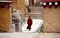 Lama dans le monastère.