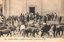 photo noir et blanc d'un troupeau de cochons noirs réunis devant une église. Sur le seuil de l'édifice, le curé officie devant une assemblée d'éleveurs.