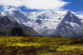 Vue du glacier de Moming.