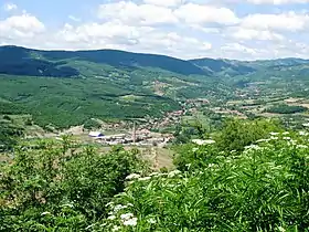 Žerovnica