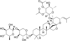 Image illustrative de l’article Ziziphine