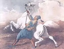 Tableau représentant un cheval arabe gris se cabrant tenu en main par un homme en costume bleu.