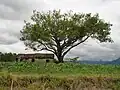 Paysage de Pindamonhangaba