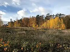 Zone archéologique entre le vallon des Enfants Noyés et le vallon du Vuylbeek