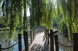 Passerelle traversant l'étang.