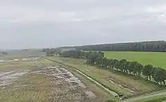 Photographie panoramique et en couleurs d'une zone inondable, à gauche, et d'une forêt, à droite.