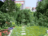 L'image montre un jardin. L'objectif effectue successivement deux travellings optiques avant et arrière : on a ainsi une illusion de rapprochement et d'éloignement du décor.