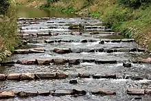 Une succession d'alignements de blocs de pierre en travers d'un cours d'eau