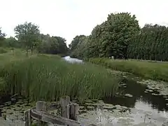 Bras désaffecté du canal à Zwevegem.