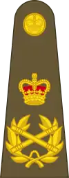 Image illustrative de l’article Field marshal (Royaume-Uni)